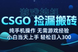 9月最新游戏搬砖，CSGO纯挂机，不需要玩游戏，实现真挂机，月入1W+