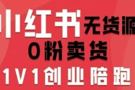 小红书无货源0粉电商课，开店准备、选品策略、笔记撰写、视频剪辑、数据分析、账号打造、资料文档（更新26年8月30日）