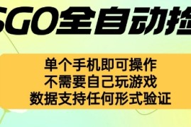 自动挂G捡漏，不用自己挂G不用玩游戏，一个手机即可操作，新手小白轻松月入1W+【揭秘】