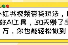 热门项目小红书视频带货玩法，用好AI工具，30天收益过W，你也能轻松做到01-22冒泡网