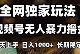 年底最新独家视频号无人直播撸礼物，小白也能轻松日入1k+，长期稳定，可批量复制【揭秘】