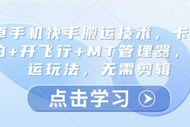 简单项目安卓手机快手搬运技术，卡魔法实拍+开飞行+MT管理器，纯搬运玩法，无需剪辑03-10冒泡网