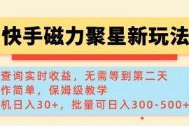 2025最新（14201期）快手磁力新玩法，可查询实时收益，单机30+，批量可日入300-500+02-16中创网