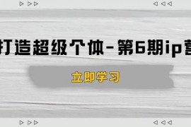 最新项目（14015期）打造超级个体-第6期ip营：商业认知,产品设计,成交演练,解决知识变现难题01-21中创网