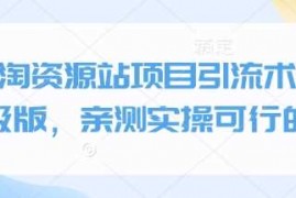 赚钱项目小淘资源站项目引流术终极版，亲测实操可行的01-09冒泡网