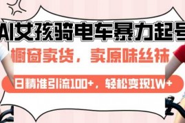 赚钱项目AI起号美女骑电车视频，日精准引流100+，轻松变现1W+01-21冒泡网