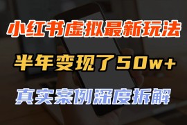 小红书虚拟资料最新玩法，半年变现了50w+，真实案例深度拆解，可复制可批量