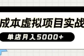 创业项目0成本虚拟项目实战手把手教你落地，单店月入5k03-11冒泡网