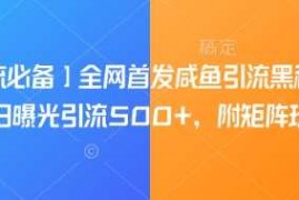 实战【引流必备】全网首发咸鱼引流黑科技，单日曝光引流500+，附矩阵玩法【揭秘】03-12冒泡网