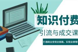 2025最新IP合伙人知识付费虚拟项目，引流与成交课程，打通商业变现全链路，实现业绩增长！02-14福缘网