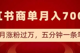 实战小红书商单最新玩法，半个月涨粉过万，五分钟一条笔记，月入7000+01-10冒泡网