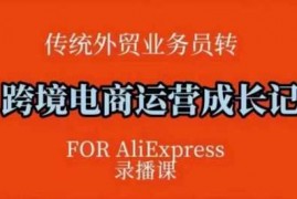 热门项目跨境电商速卖通运营课，​运营方法论+后台实操，逻辑清晰02-13冒泡网