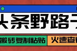 头条号野路子玩法，零成本起号无脑搬砖复制粘贴，普通人稳稳月入过万