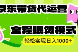 赚钱项目（13957期）【京东带货代运营】操作简单、收益稳定、有手就行！轻松实现日入1000+01-10中创网