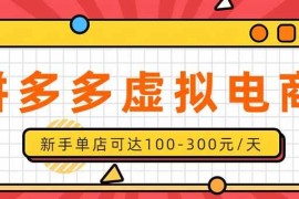 （20251期）单店日均500+的拼多多虚拟店，新人轻松上手，长久稳定利润乐观的副业项目