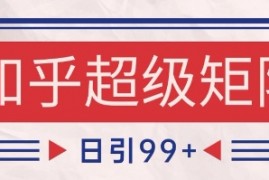 知乎超级矩阵玩法引流高质量精准粉SEO覆盖，日变现1k+【揭秘】