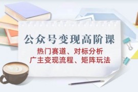 每天公众号变现高阶课：热门赛道、对标分析、广告主变现流程、矩阵玩法02-15福缘网