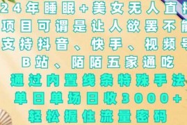 赚钱项目2024年睡眠+美女无人直播，通过内置线条特殊手法，单场日收3k+，轻松握住流量密码【揭秘】12-29冒泡网