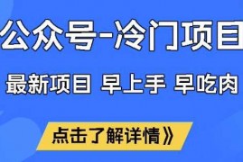 赚钱项目公众号冷门赛道，早上手早吃肉，单月轻松稳定变现1W【揭秘】03-04冒泡网