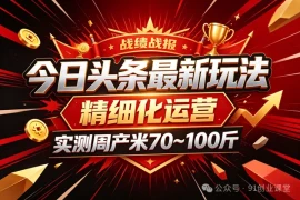 今日头条最新玩法，精细化运营，躺米，实测周产米 70~100 斤，兔米橡木，全新躺.zhuan模式