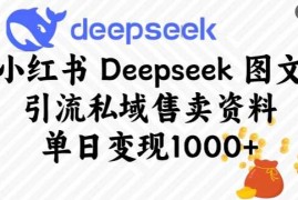 每日小红书Deepseek图文引流私域售卖资料，单日变现多张02-24冒泡网