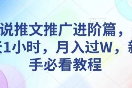 简单项目小说推文推广进阶篇，每天1小时，月入过W，新手必看教程01-17冒泡网