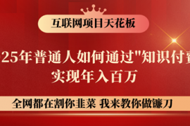 热门项目镰刀训练营超级IP合伙人，25年普通人如何通过“知识付费”年入百万！03-08福缘网