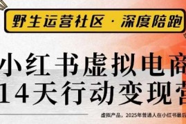 小红书虚拟电商14天变现训练营3.0，​虚拟产品，2025年普通人在小红书最后的搞钱机会