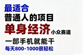 身经济小众赛道，一部手机就能干，每天搞个800-1000很轻松，最适合普通人的项目【揭秘】