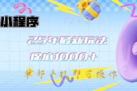 实战微信小程序25年最新教学保底日入1k+，最新玩法，单部手机即可操作，做就有收益【揭秘】03-14冒泡网