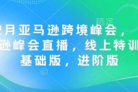 每日12月亚马逊跨境峰会，亚马逊峰会直播，线上特训营基础版，进阶版01-25冒泡网