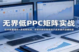 无界低PPC矩阵实战：软件批量操作+多矩阵玩法，手把手教你降低投产成本提升店铺效益