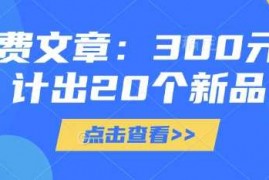 每日付费文章：300元设计出20个新品03-16冒泡网