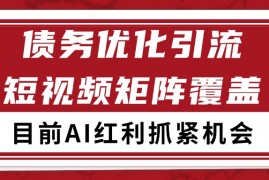 小红书某音债务优化赛道引流获客 自热矩阵日引200+