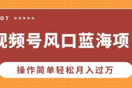 2024最新（13945期）视频号风口蓝海项目，中老年人的流量密码，操作简单轻松月入过万01-08中创网