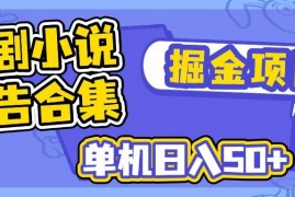 手机项目（14456期）短剧小说合集广告掘金项目，单机日入50+03-09中创网