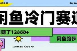 热门项目闲鱼冷门赛道，跑步挣钱，有人一个月挣了1.2w02-28冒泡网