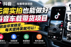 无需实拍也能做好抖音车载带货项目，收益非常稳定，每天坚持发就可以！