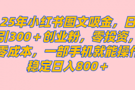 手机项目（14437期）25年小红书创业粉图文自热打法，一部手机简单操作，日引300＋创业粉，零投资，零成本，每天利用20分钟就能完成03-09中创网