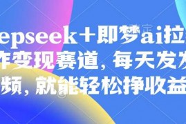 热门项目原客单价998的deepseek+即梦ai拉新，王炸变现赛道，每天发发视频，就能轻松挣收益03-13冒泡网