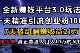 实战全新赚钱平台3.0玩法一天精准引流创业粉1000.7天被动躺Z收益21W【仅揭秘】12-29冒泡网