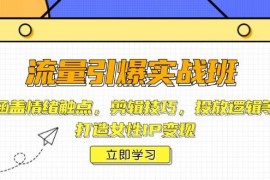 手机创业（14008期）流量引爆实战班，涵盖情绪触点，剪辑技巧，投放逻辑等，打造女性IP变现01-21中创网