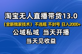 淘宝无人直播13.0，公域私域技术，不封号，不违规 布局下半年旺季赛道，日入2000+