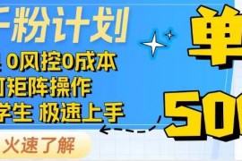 每日抖音千粉计划，日入500+，包落地，当日拿成果03-08福缘网