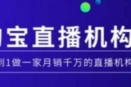 每日淘宝直播运营实操课【MCN机构】，从0到1做一家月销千万的直播机构01-22冒泡网