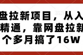 最新项目网盘拉新项目，从入门到精通，靠网盘拉新3个多月搞了16W12-31冒泡网