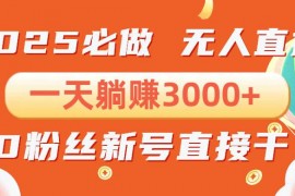 最新项目（13950期）抖音小雪花无人直播，一天躺赚3000+，0粉手机可搭建，不违规不限流，小&#8230;01-09中创网