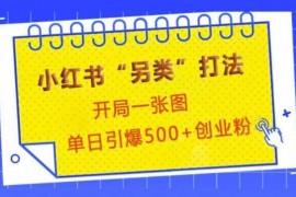 实战小红书“另类”打法，开局一张图，单日引爆500+精准创业粉【揭秘】12-26冒泡网