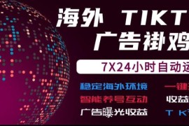 海外TikTok挂G流量变现，7X24自动运行，广告曝光收益，收益日结【揭秘】