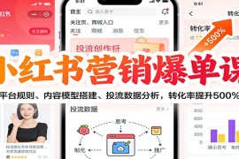 小红书营销爆单课：平台规则、内容模型搭建、投流数据分析，转化率提升500%